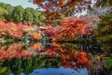 Sonbahar sahne Kyoto, Japonya 