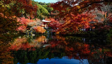 Sonbahar sahne Kyoto, Japonya 