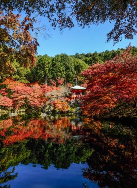 Sonbahar sahne Kyoto, Japonya 