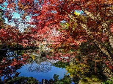 Sonbahar sahne Kyoto, Japonya 