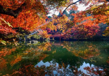Sonbahar sahne Kyoto, Japonya 
