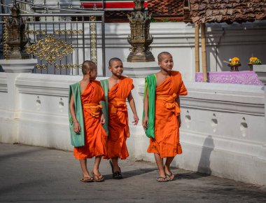 Chiang Mai Budist rahipler, Tayland 