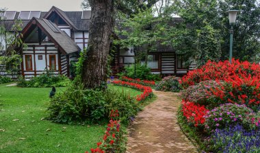 Botanik bahçeli yazlık ev 