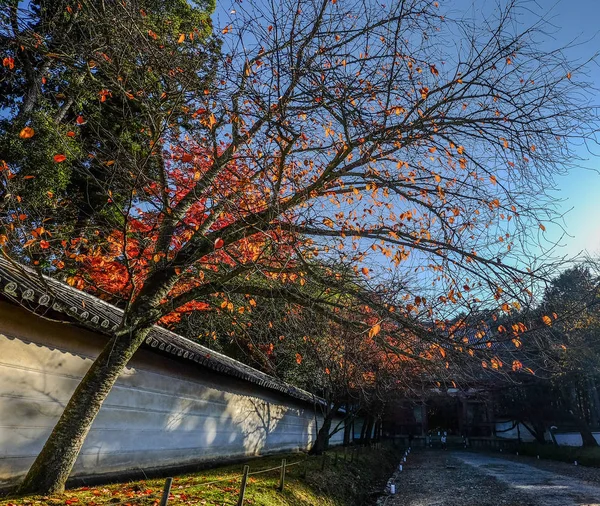 Podzimní krajina v Kjótu, Japonsko — Stock fotografie
