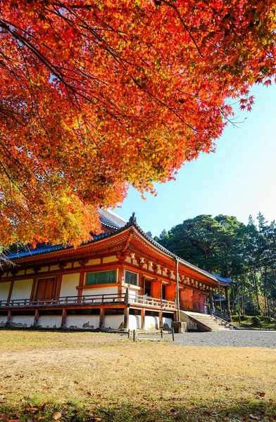 日本京都的秋景 — 图库照片