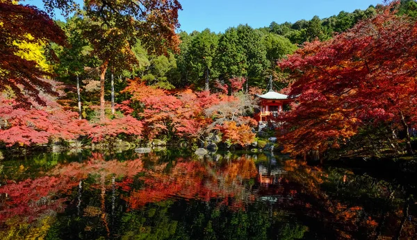 日本京都的秋景 — 图库照片