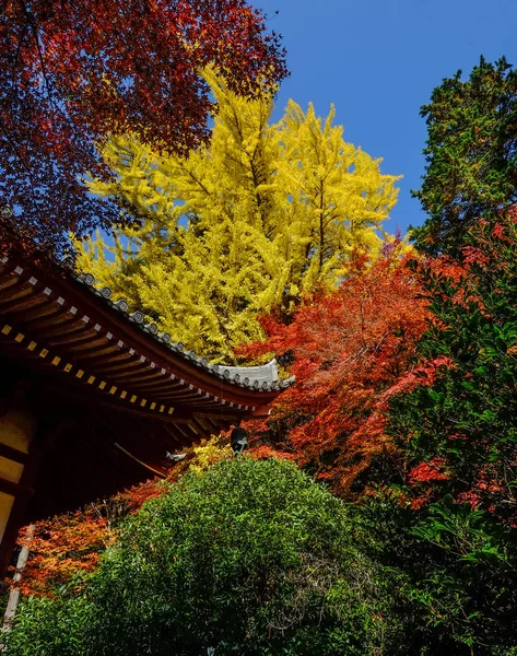Cenário de outono em Kyoto, Japão — Fotografia de Stock