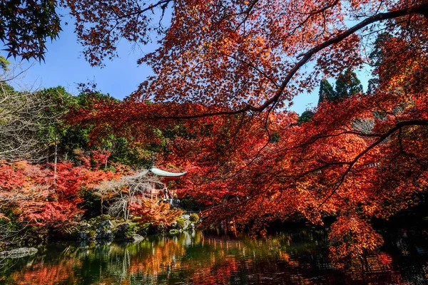 Paysages d'automne à Kyoto, Japon — Photo