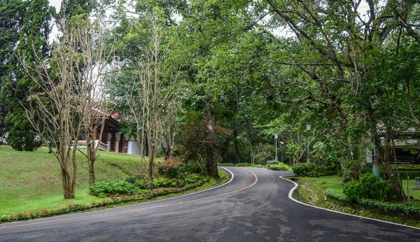 Estrada no jardim botânico — Fotografia de Stock