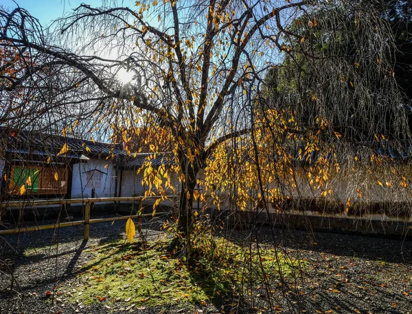 Autumn scenery in Kyoto, Japan Stock Picture