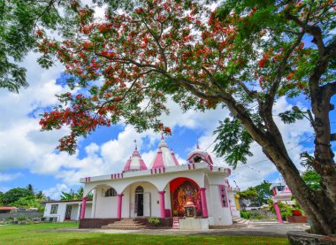 Gösterişli ağaçlı Hindu tapınağı