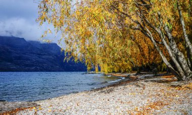 Yeni Zelanda'nın sonbahar manzarası 