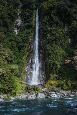Thunder Creek Trail Şelale