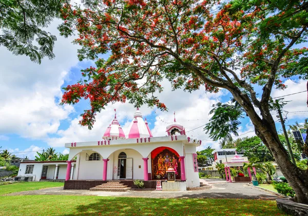 Templo hindú con árbol extravagante —  Fotos de Stock