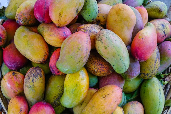Deliciosas frutas de mango en el mercado rural — Foto de Stock
