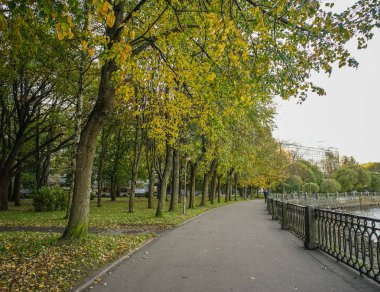 Güneşli bir günde sonbahar manzarası 