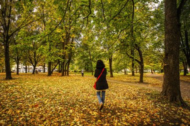 Güneşli bir günde sonbahar manzarası 