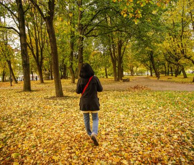 Güneşli bir günde sonbahar manzarası 