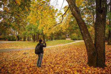 Güneşli bir günde sonbahar manzarası 