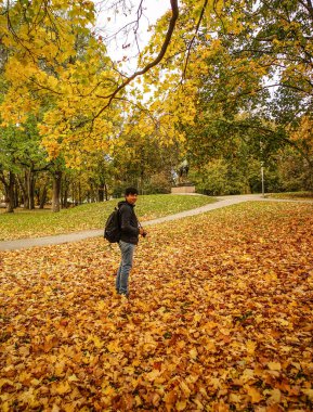 Güneşli bir günde sonbahar manzarası 