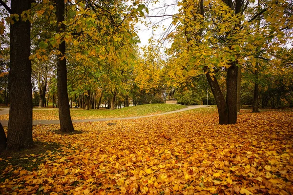 Güneşli bir günde sonbahar manzarası 