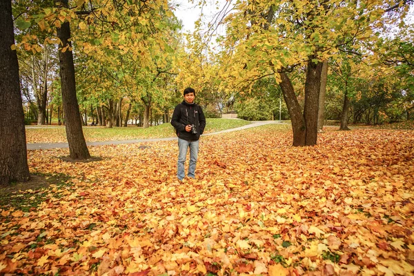 Güneşli bir günde sonbahar manzarası 