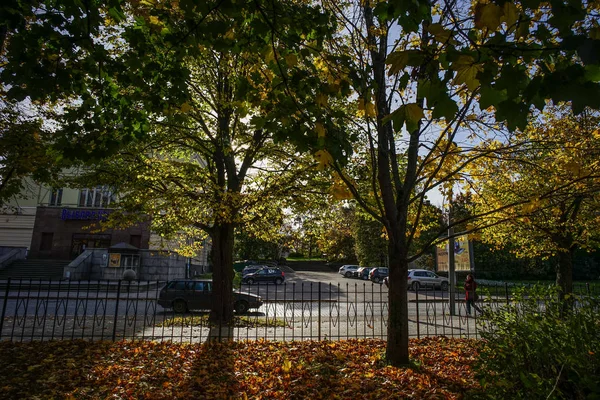 Herbstkulisse bei sonnigem Tag — Stockfoto