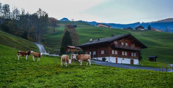 Landschaft mit Bergdorf im Herbst — Stockfoto