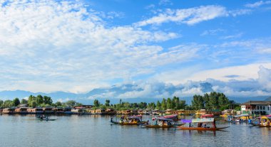 Srinagar Dal Gölü Manzarası, Hindistan
