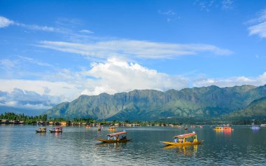 Srinagar Dal Gölü Manzarası, Hindistan