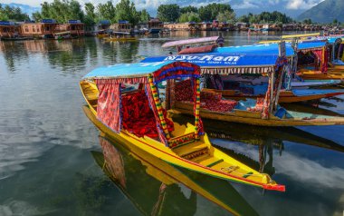 Srinagar Dal Gölü Manzarası, Hindistan
