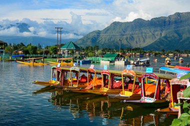 Srinagar Dal Gölü Manzarası, Hindistan