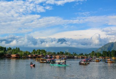 Srinagar Dal Gölü Manzarası, Hindistan