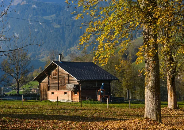 Klein houten huisje met herfst bomen — Stockfoto