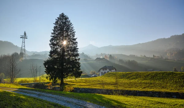 Berglandschaft von Grindelwald, Schweiz — Stockfoto