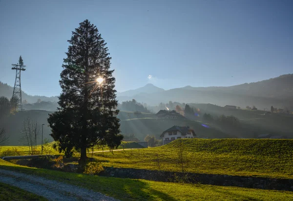 Berglandschaft von Grindelwald, Schweiz — Stockfoto