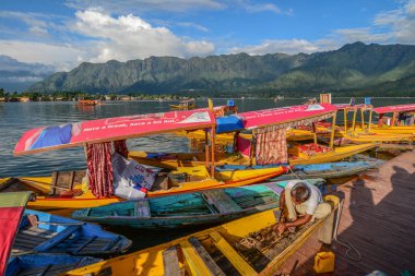 Srinagar Dal Gölü Manzarası, Hindistan