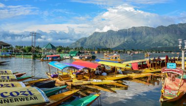 Srinagar Dal Gölü Manzarası, Hindistan