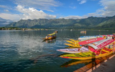 Srinagar Dal Gölü Manzarası, Hindistan