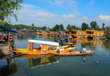 Srinagar Dal Gölü Manzarası, Hindistan