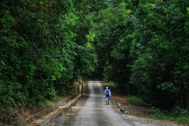 Ormanda patikada yürüyen insanlar 