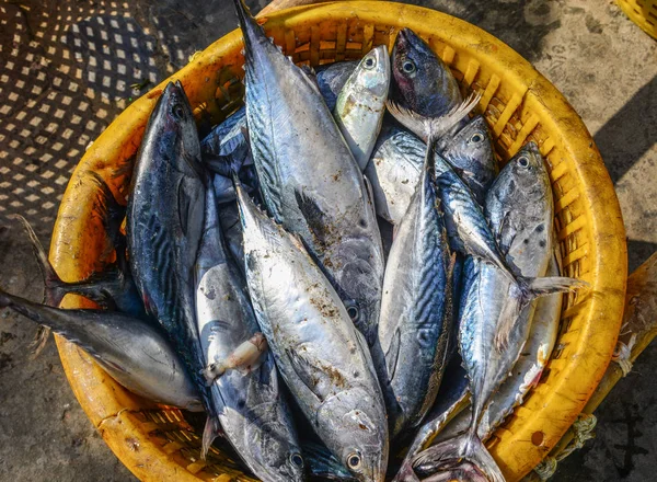 Риба на продаж на сільському ринку — стокове фото