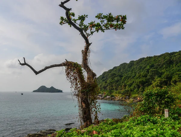 Seascape av Tho Chau Island, Vietnam — Stockfoto