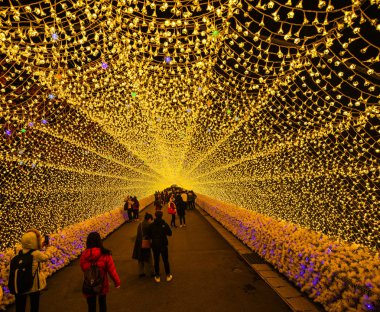 Nabana No Sato dev liderliğindeki ışık tüneli