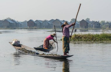 Inle Gölü'nde balık yakalamak, Myanmar