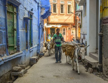 Jodhpur, Hindistan'da sokaktaki insanlar 