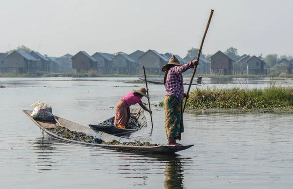 Lov ryb na Inle Lake, Myanmaru — Stock fotografie