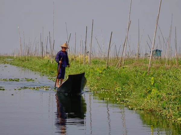 Captura de peixes no lago Inle, Mianmar — Fotografia de Stock