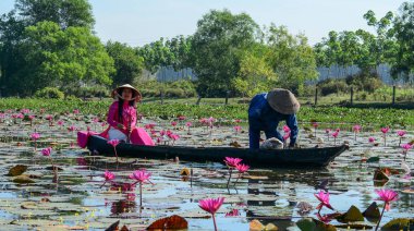 Binh Duong, Vietnam - 4 Şubat 2016. Asyalı kadın geleneksel elbise (Ao Dai) Nilüfer gölet ahşap teknede oturuyor.