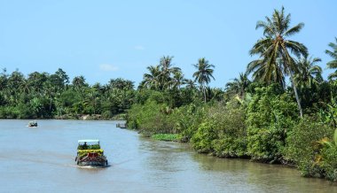 Can Tho, Vietnam'da ilkbaharda Mekong Nehri üzerinde çiçek taşıyan ahşap tekneler.